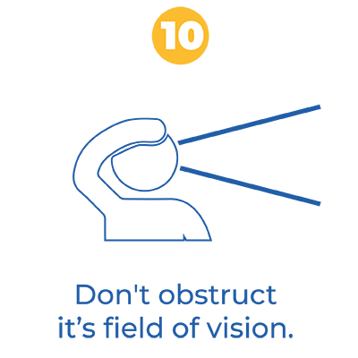 10 Don't obstruct it's field of vision